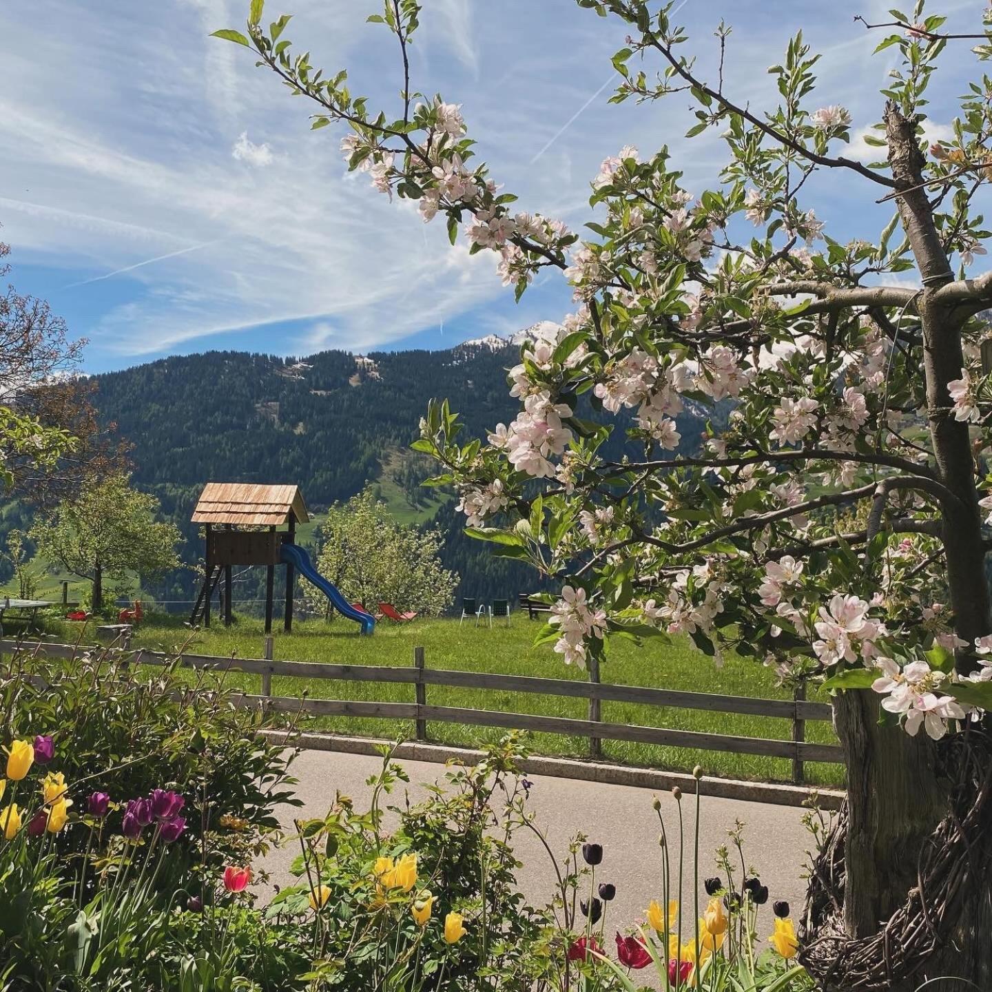 Wellness&spa Alpenland 3* Moos