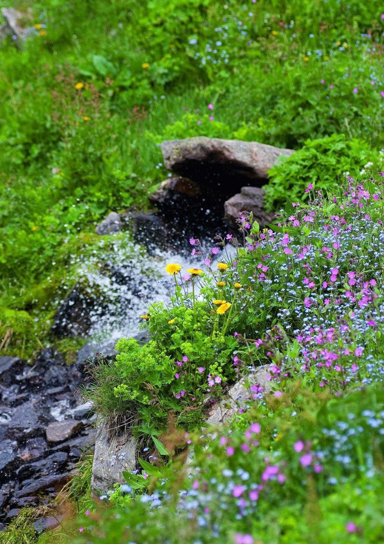 Hotel Wellness&spa Alpenland